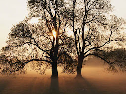 Character is like a tree -