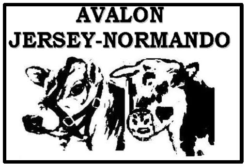 Haga Click sobre el logo