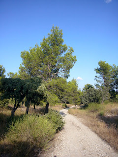 la garrigue