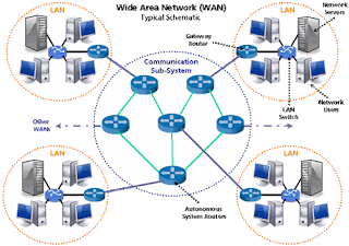 Networkgroup أنواع الشبكات