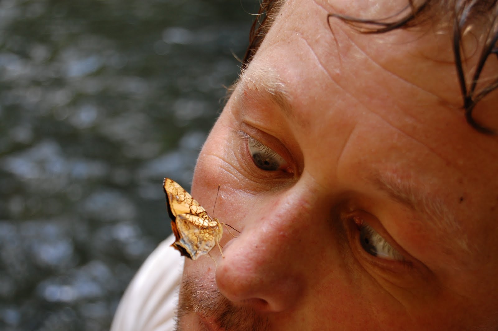 [DSC_1174.JPG]