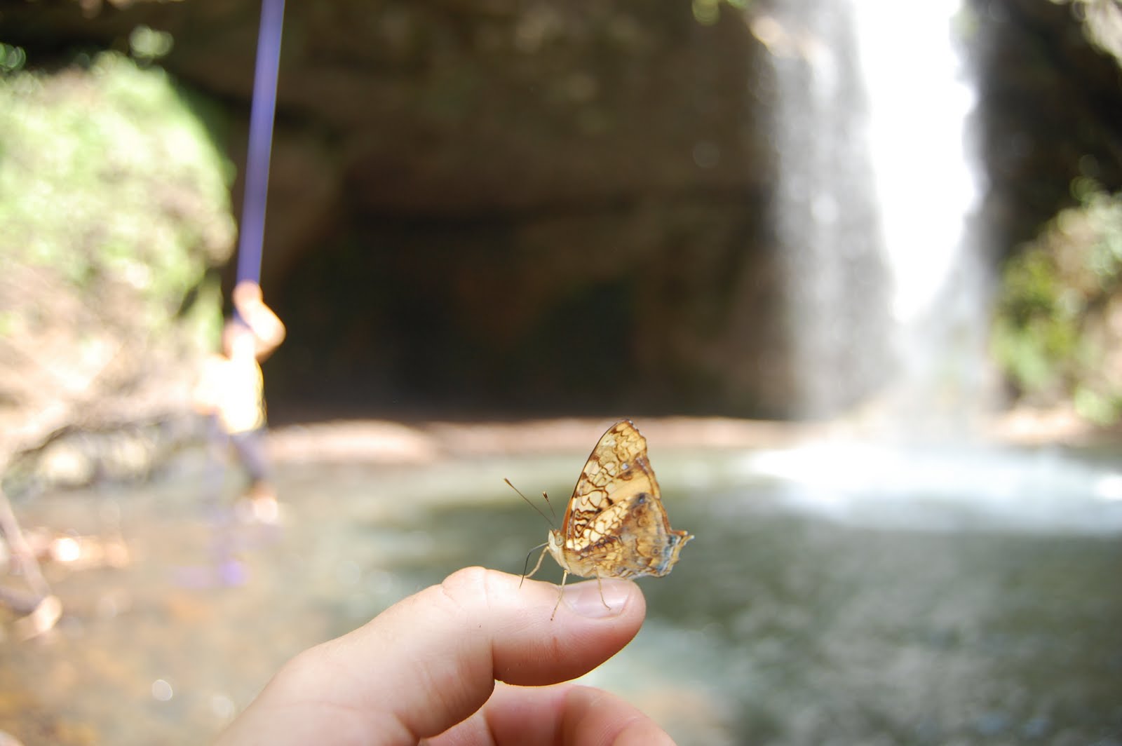 [DSC_1162.JPG]