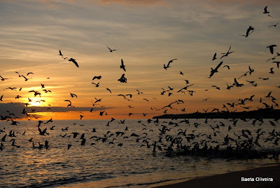 Armação de Pêra, Dezembro 2009