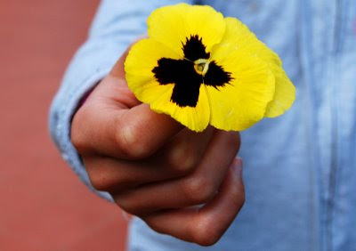 Primavera de 2009, © António Baeta Oliveira