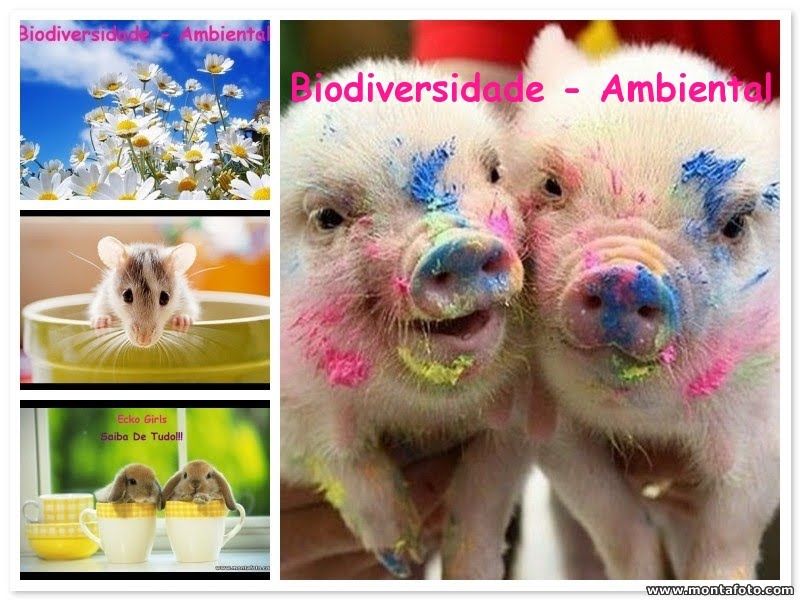 Biodiversidade Ambiental