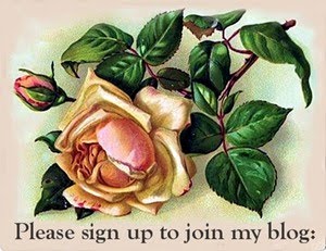 Welcome Aboard! Please Join Us ~ Sending a Great Big Thank you To those who follow my blog.