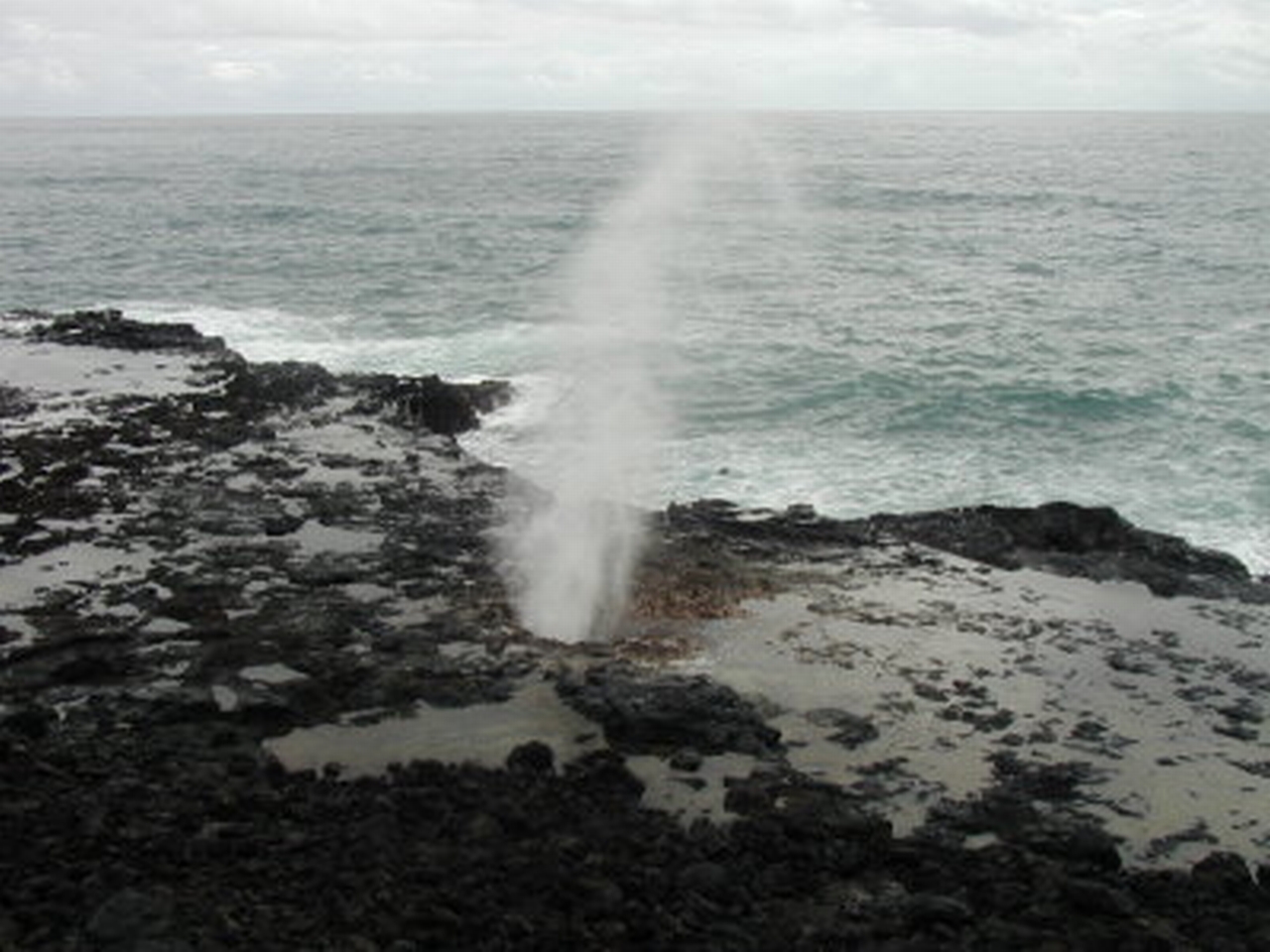 [Spouting+Horn+on+the+South+Shore+of+Kauai.jpg]