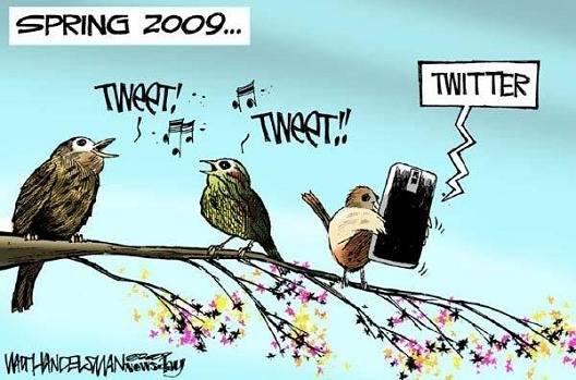 [twitter1.bmp]