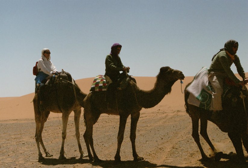 [159+Camellos+de+vuelta+al+camping.JPG]