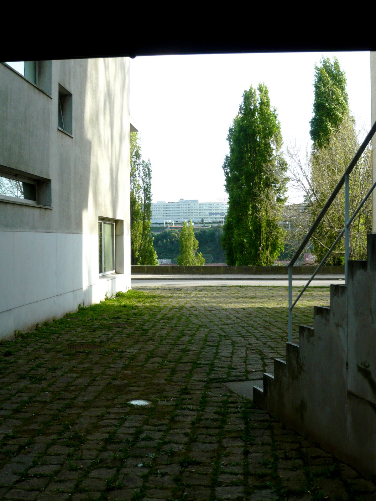 [P1000797a.jpg]