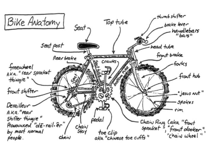PIMCO Bike Anatomy