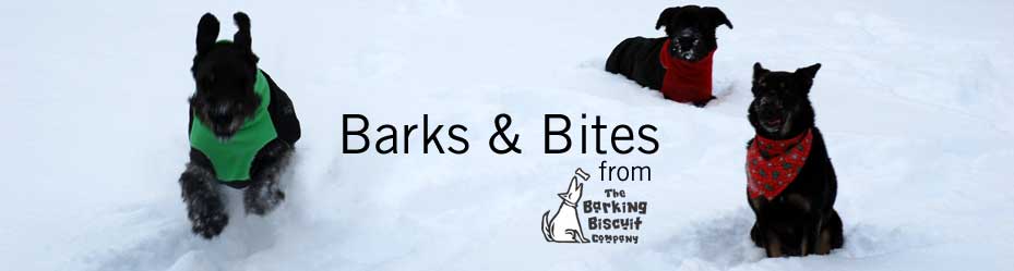 Barks & Bites from Barking Biscuit