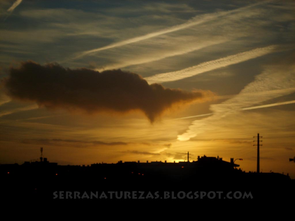 [fim_de_tarde.jpg]