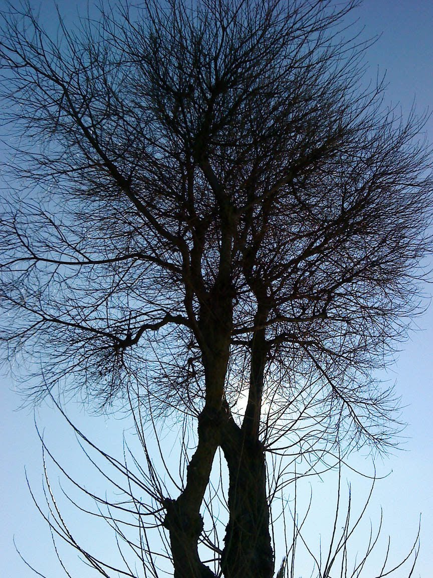[DSC00039.jpg]