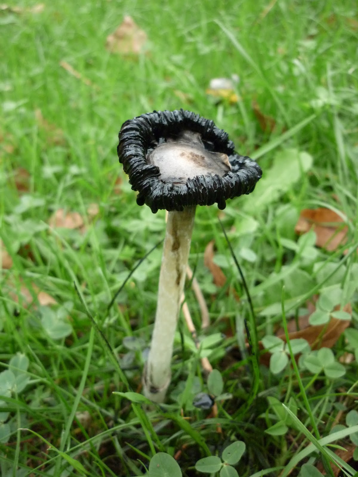 [P1010502.JPG]