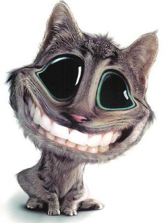 zzsmile_cat.jpg
