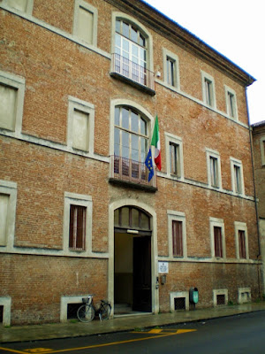 Novara+buzz+v+review