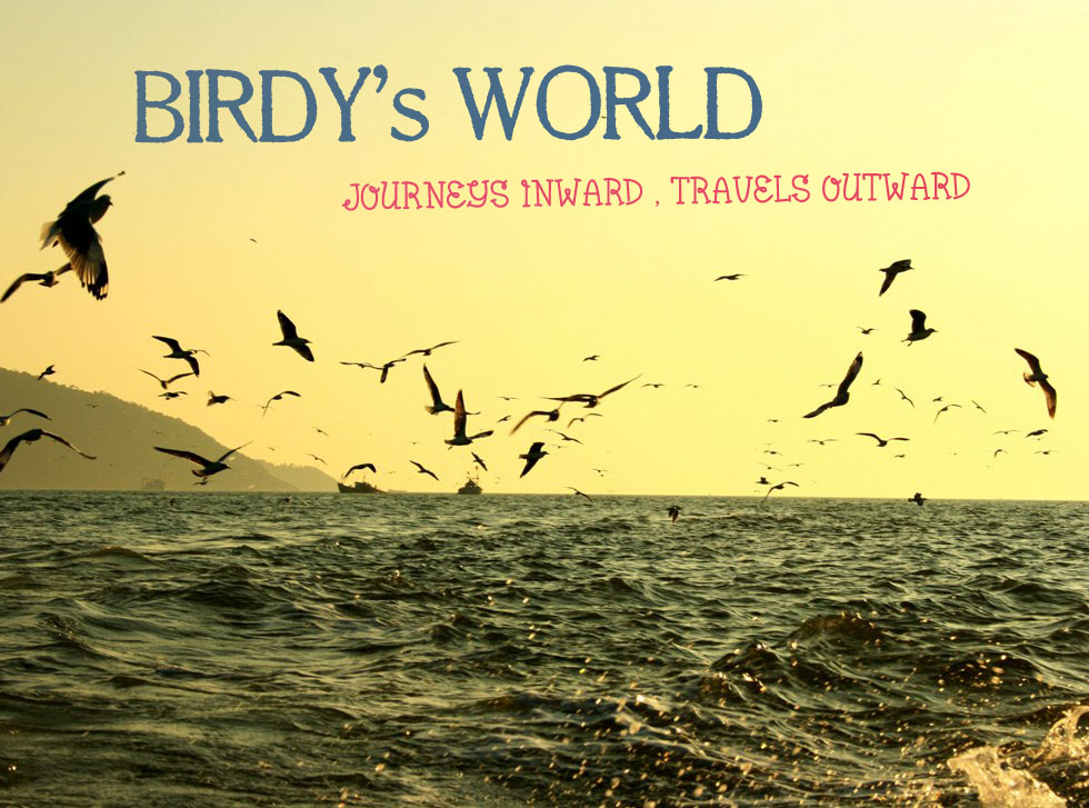 Birdy's World