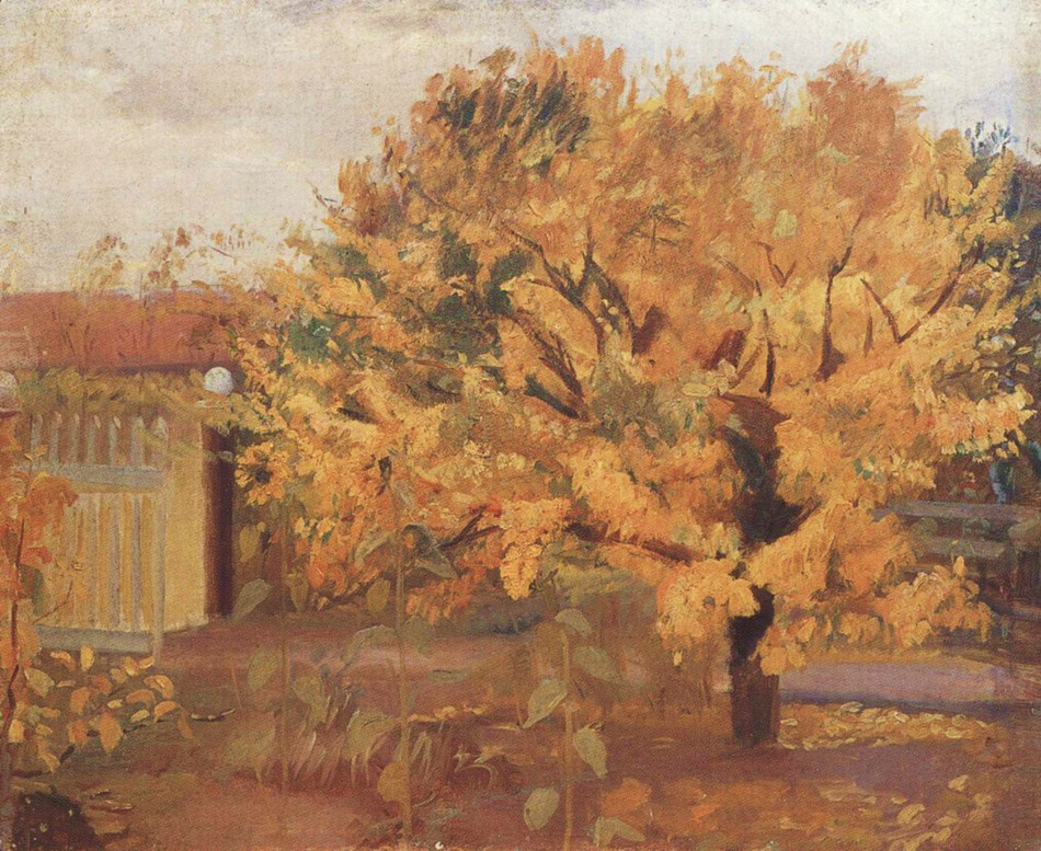 [Ancher+pear+tree+in+front+yard.jpg]