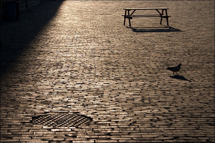 [manholecover_bird_bench.jpg]