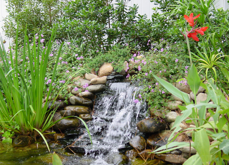 Garden Pond: Garden pond waterfall
