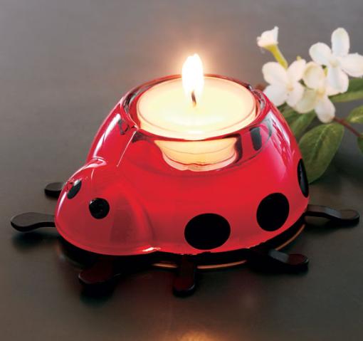 The Ladybug--Perfect Sign of Spring!!!