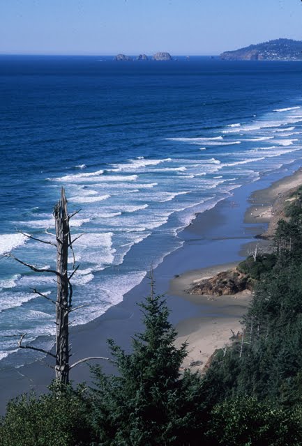 Rex Overlook, Captain Cook Highway