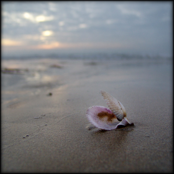 [pascal_renoux_6.jpg]