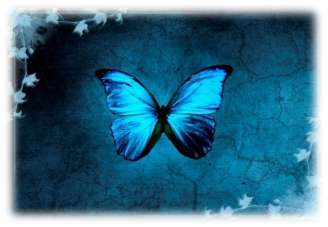 wallpaper blue butterfly. lue wallpaper blue butterfly. wallpaper blue butterfly. lue