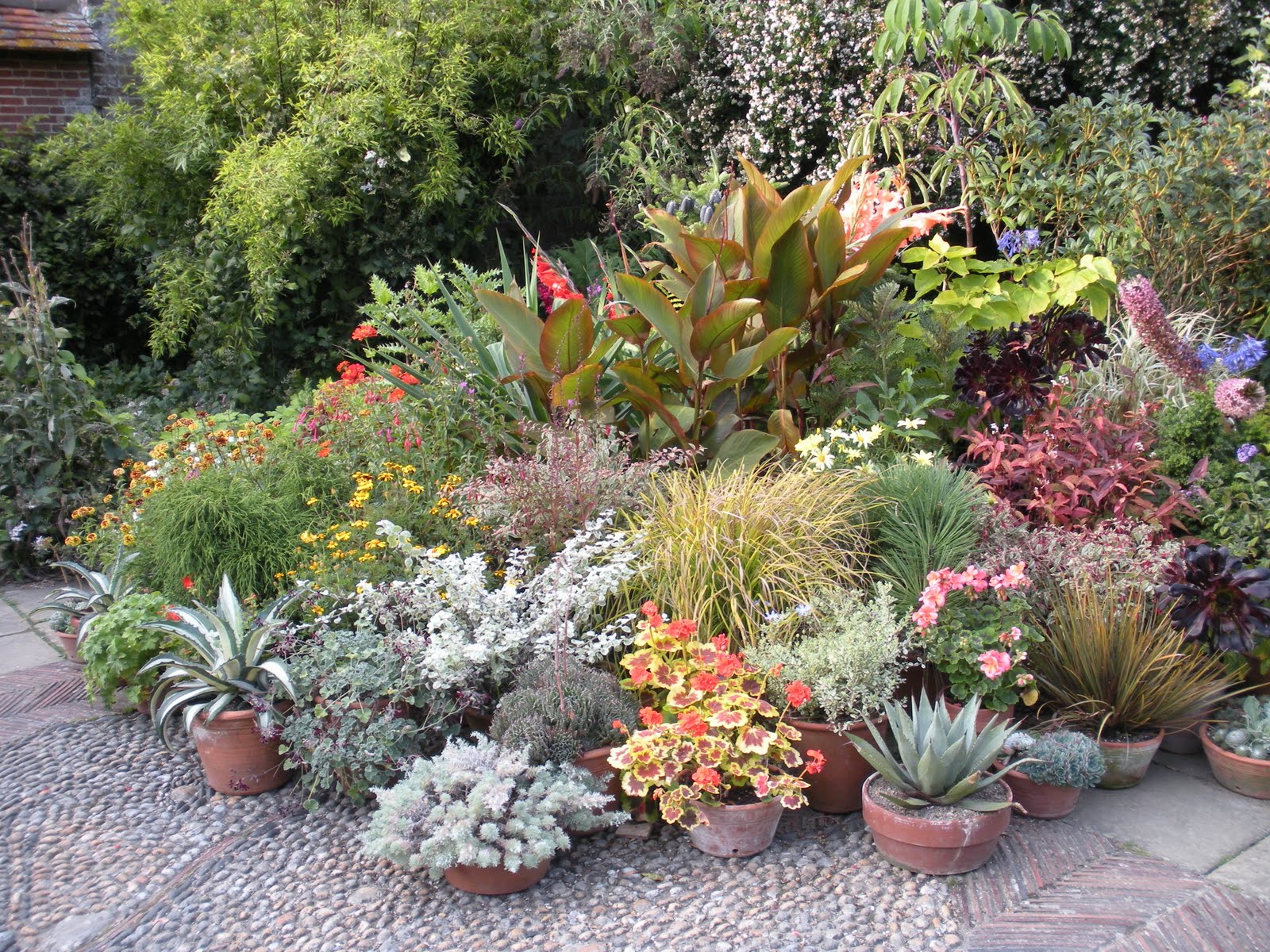 Victoria�s backyard September 2010