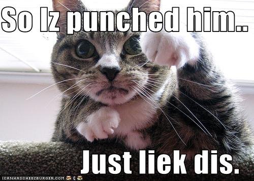 [catpunch.bmp]