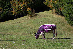 "Vaca de Piatra"