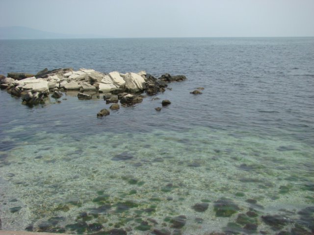 [DSC04138.JPG]