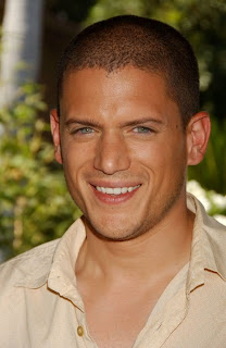 Celebrity Men's Hair Style With Image Michael Scofield Hairstyle With Buzz Haircut Gallery Picture 1