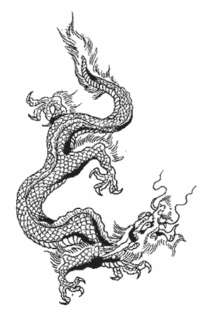 The popular locations for inking Japanese dragon tattoos.