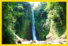 CASCADA DE LOS ORGANOS