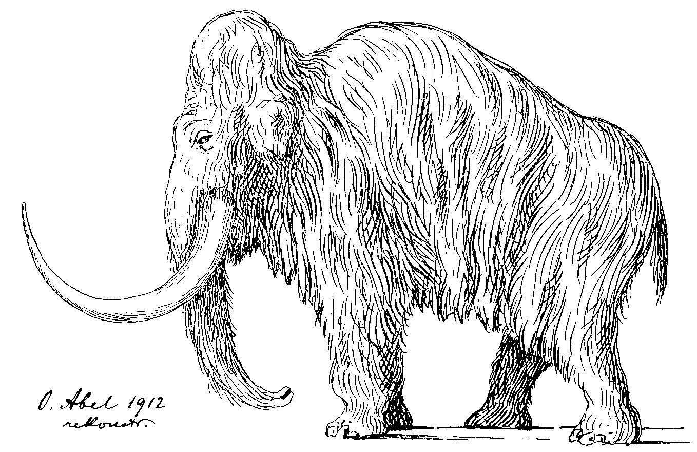 Welt der Steinzeit: Was man über das Eiszeitalter in Deutschland weiß