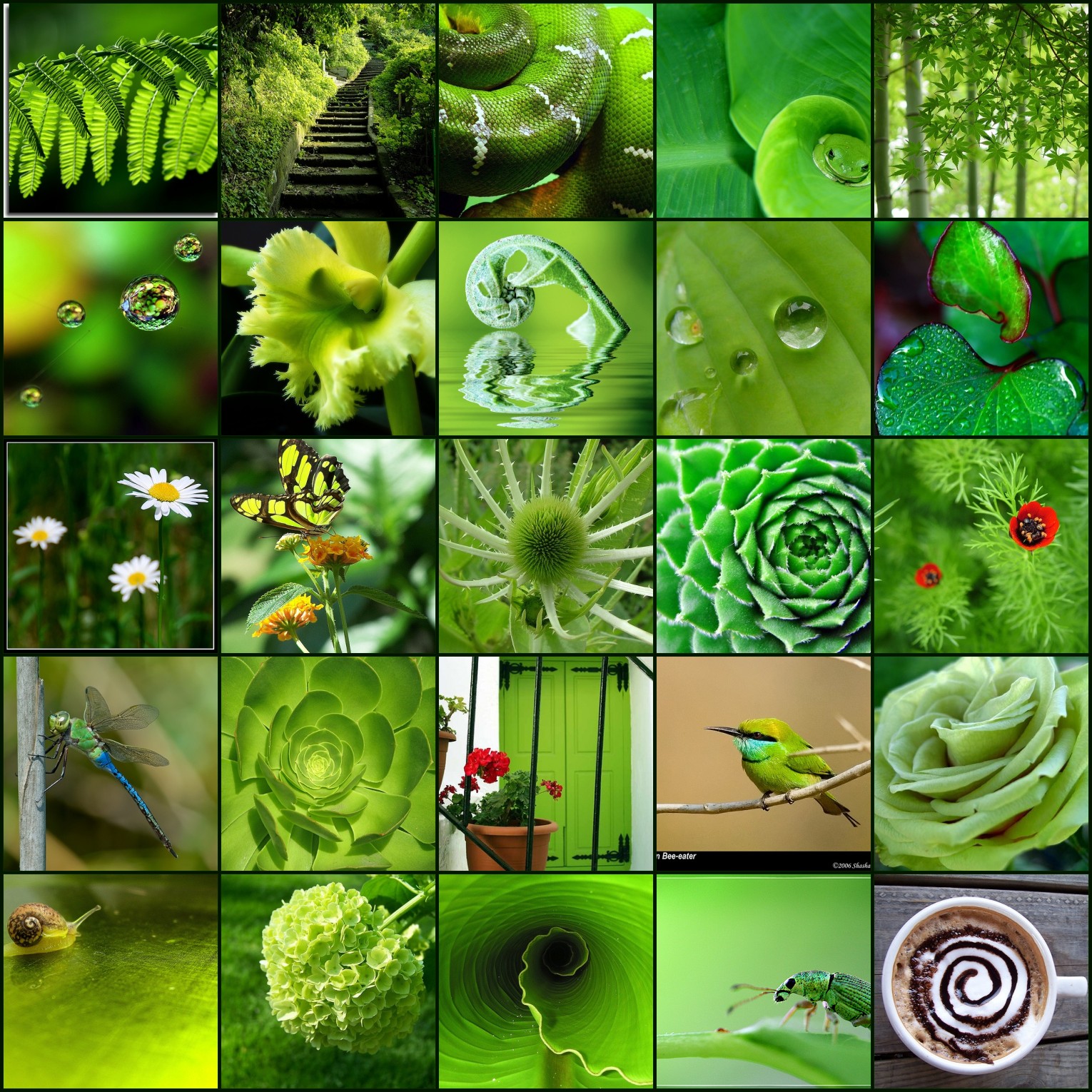 http://2.bp.blogspot.com/_0uS60mKYDmY/TLdibOsAvAI/AAAAAAAAAL8/NDQUMCz5qEQ/s1600/mosaic918955%255B1%255D.jpg