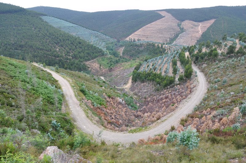 [cabeçodesanto09.bmp]