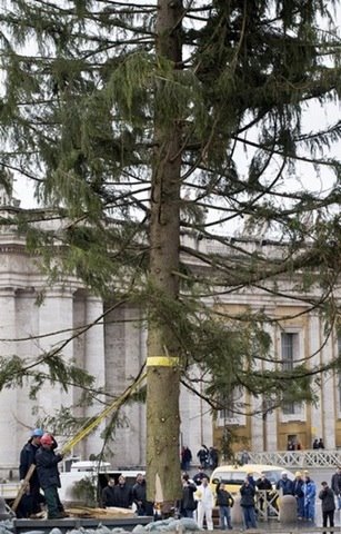 [vaticanoarvora4.jpg]