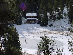 The pond becomes ice as the temperature drops. We have a few hardy souls who enjoy every winter.