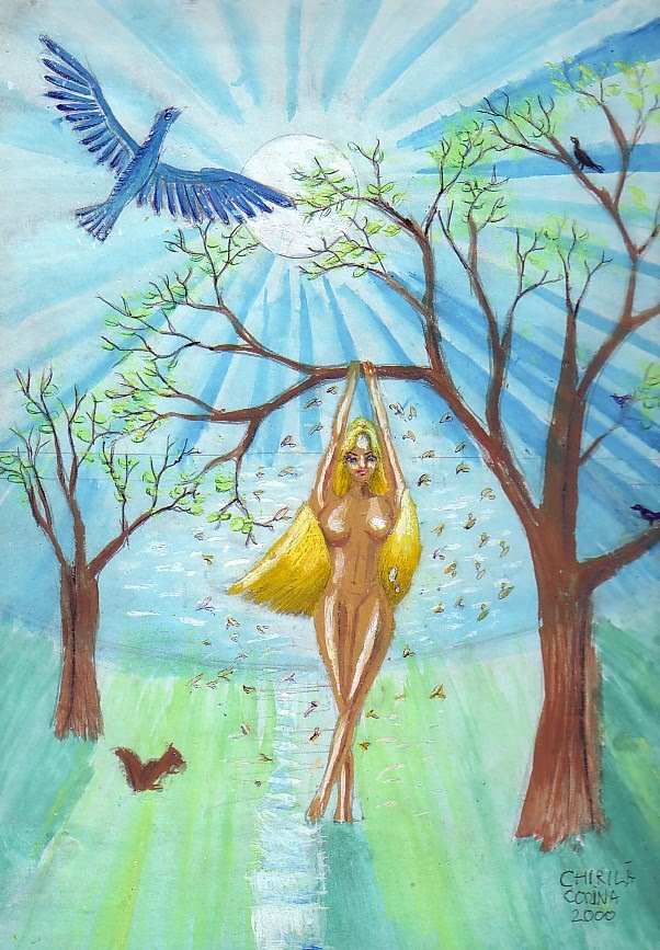 [FreamatDeCodru.jpg]