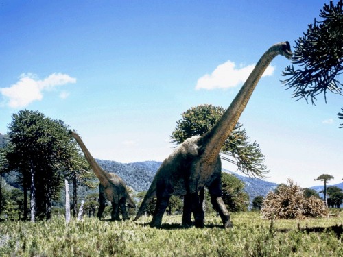 الدينوصورات العشرة الذين يعرفهم كل طفل في العالم 04+-+brachiosaurus