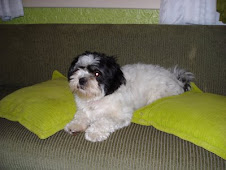 Liza(cachorrinha nº 1)