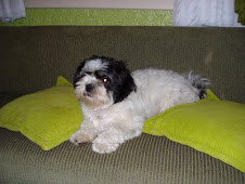 Liza(cachorrinha nº 1)