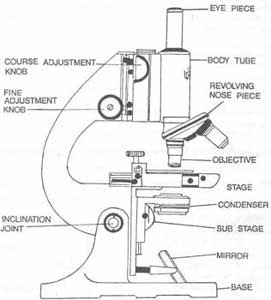 This microscope can be divided This microscope can be divided