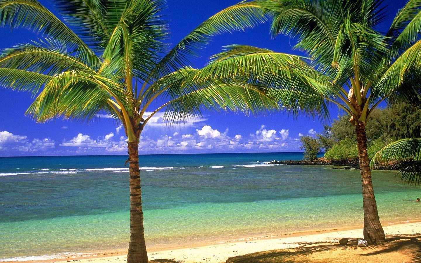 Hawaii 常夏 海 ハワイの美しい壁紙 風景 自然 Naver まとめ