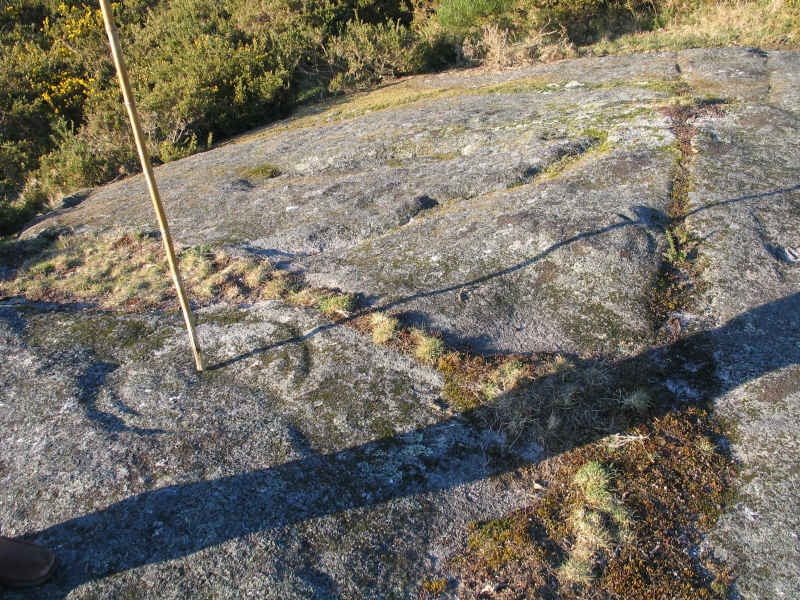 [30.03.09++linea+2.jpg]