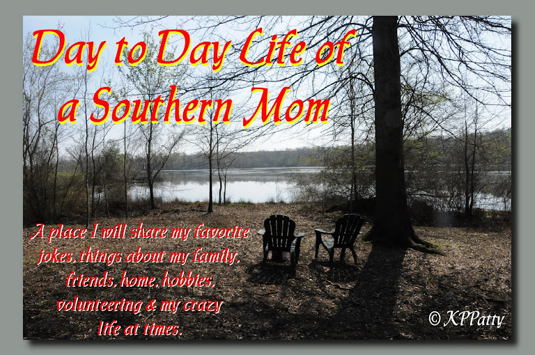 Day to Day Life of a Southern Mom