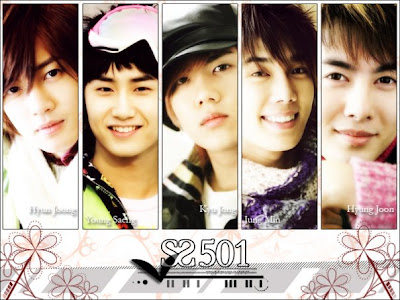 Ss 501 Profile